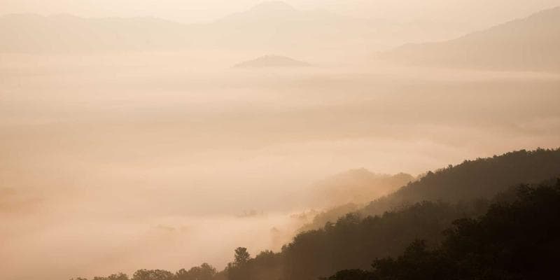 International Dance Day